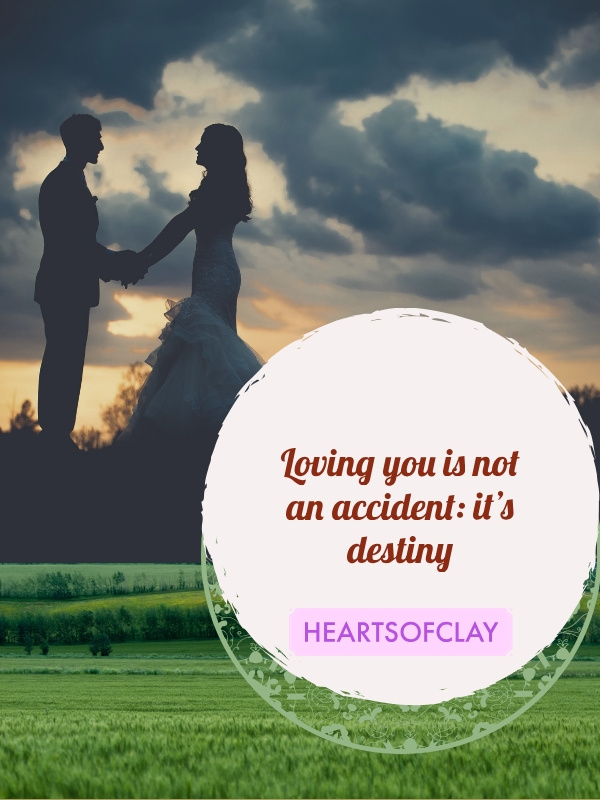 Loving You Is Not An Accident It’s Destiny (A Preview)
